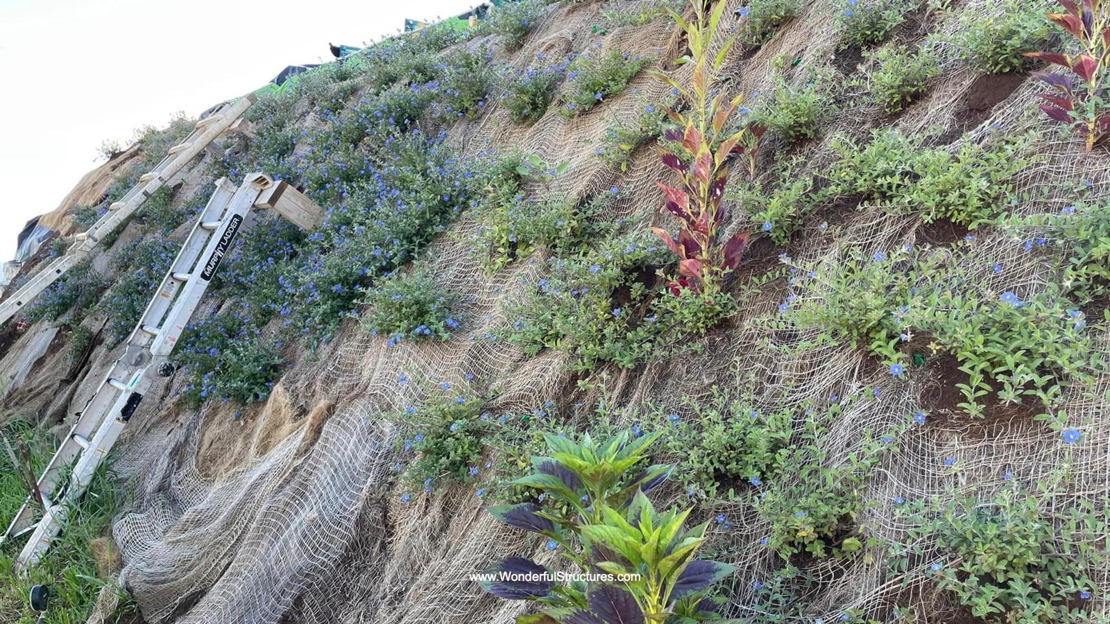 Wonderful-Structures-Hawaii-006