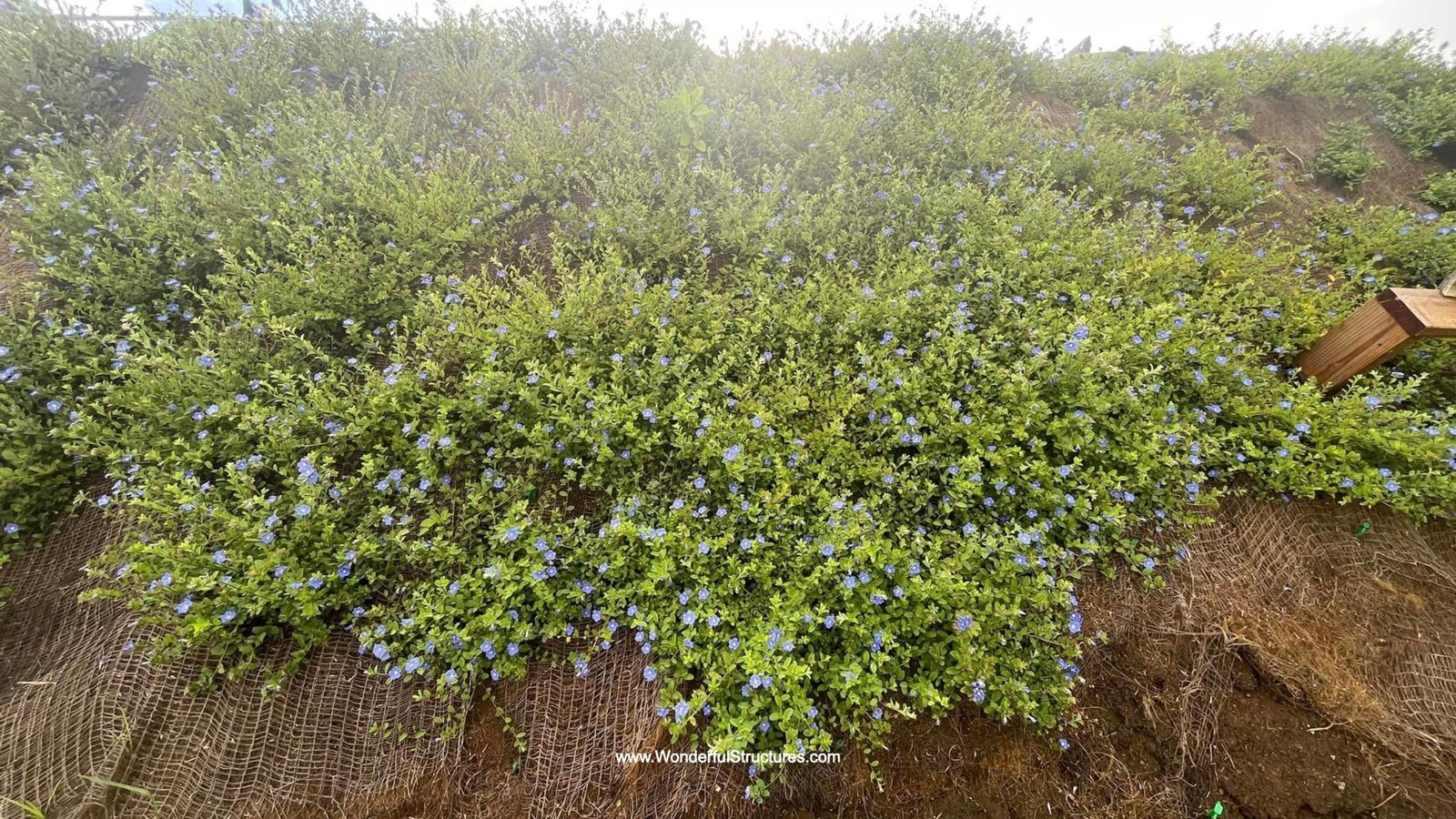 Wonderful-Structures-Hawaii-007