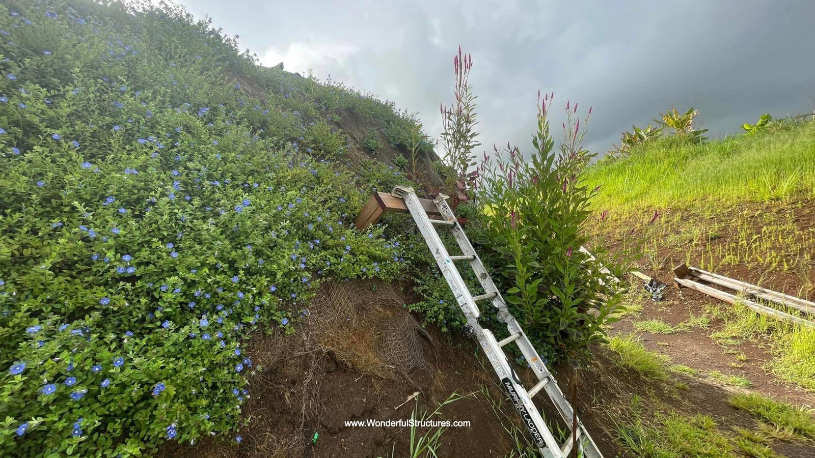 Wonderful-Structures-Hawaii-008